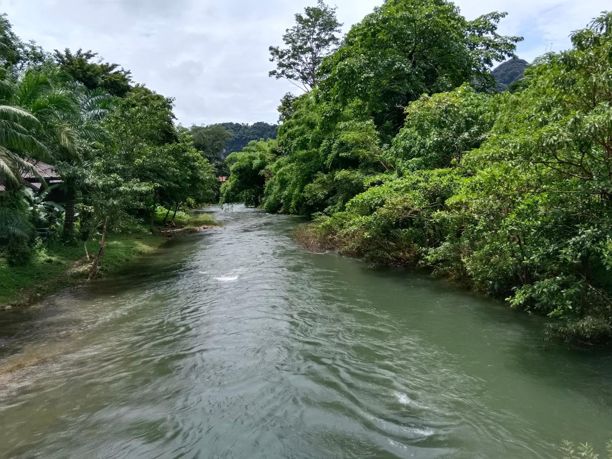 Khao Sok River & Jungle Bungalow Khao Sok National Park Ngoại thất bức ảnh